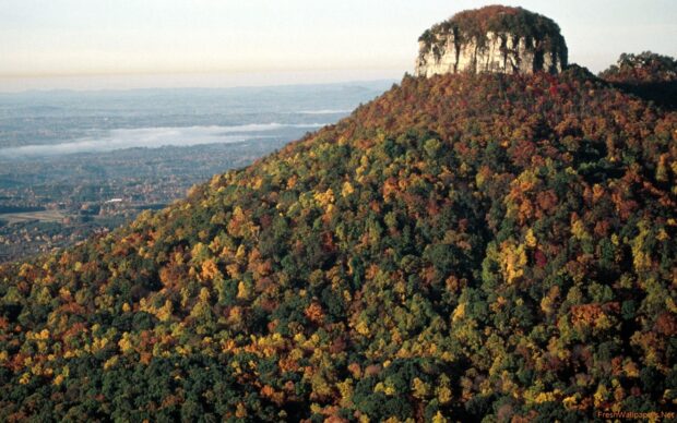 Autumn foliage covering the mountain landscape in North Carolina during fall season