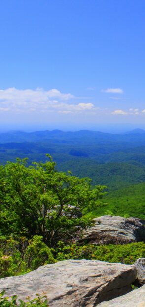 Lush North Carolina landscape with green trees and rolling mountains under a clear blue sky