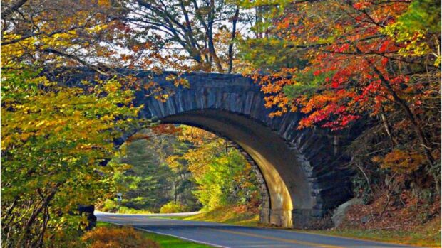 A stone arch bridge surrounded by colorful North Carolina autumn foliage on a winding road
