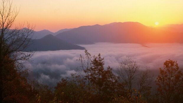 Morning view of North Carolina mountains with fog and autumn trees