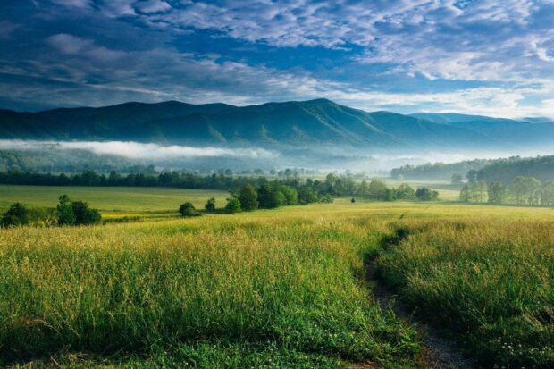A scenic view of North Carolina hills and fields covered in early morning mist