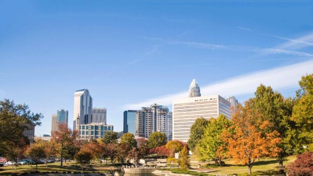 A scenic view of North Carolina skyline with colorful autumn trees under a clear blue sky