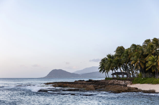 A serene coastal scene with rocky shores and palm trees on Oahu island