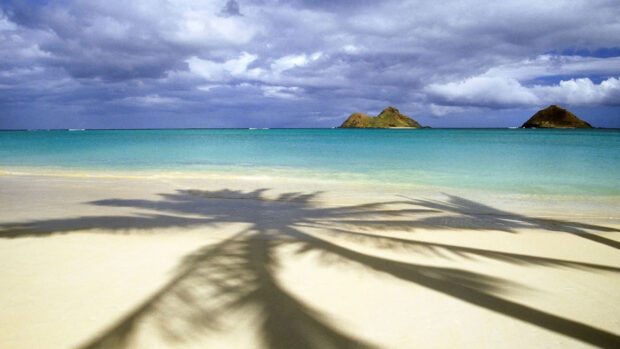 Shadow of palm trees on sandy beach in tropical Oahu