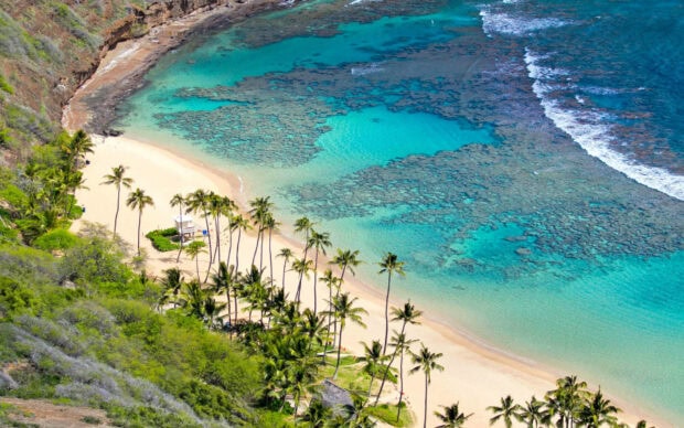Aerial view of Oahu turquoise waters and sandy beach with palm trees and coral reefs