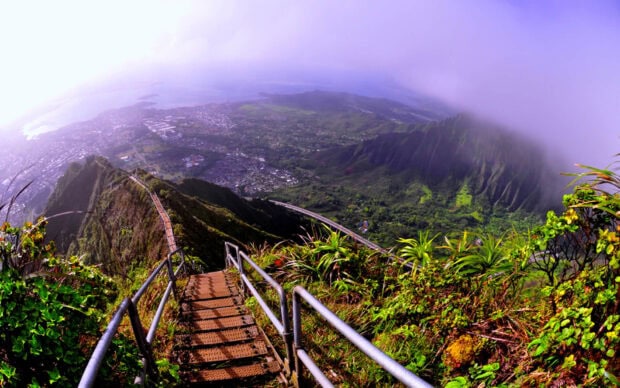 The steep stairs trail with lush greenery overlooking Oahu valley