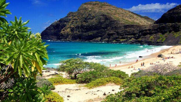 A scenic view of Oahu coast with turquoise ocean and lush greenery on the beach