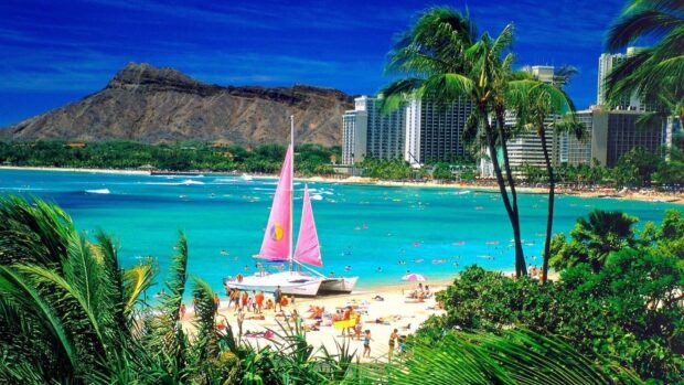 A vibrant beach scene in Oahu with turquoise water and pink sailboats