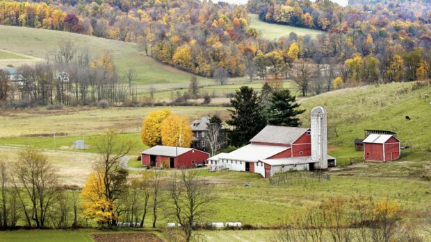 A scenic countryside farm in Ohio with red barns and colorful autumn trees in a peaceful rural landscape
