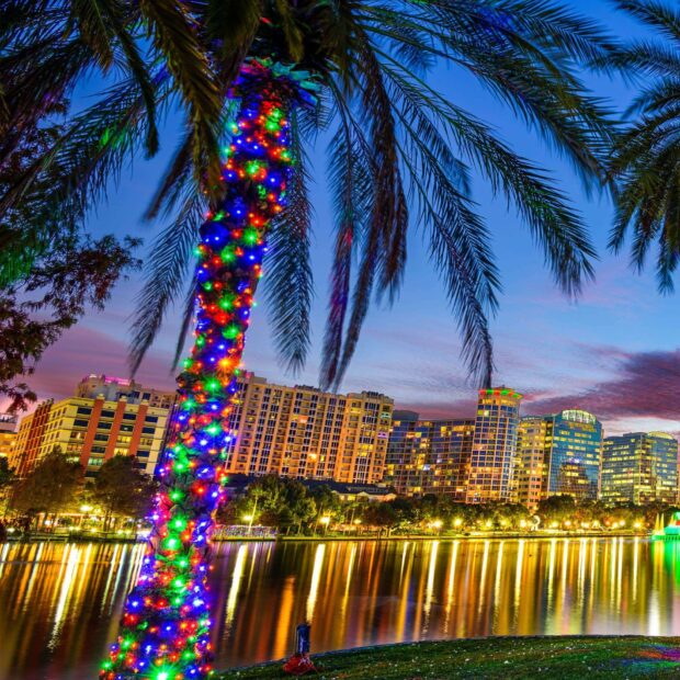 Palm tree decorated with colorful lights near Orlando skyline at dusk