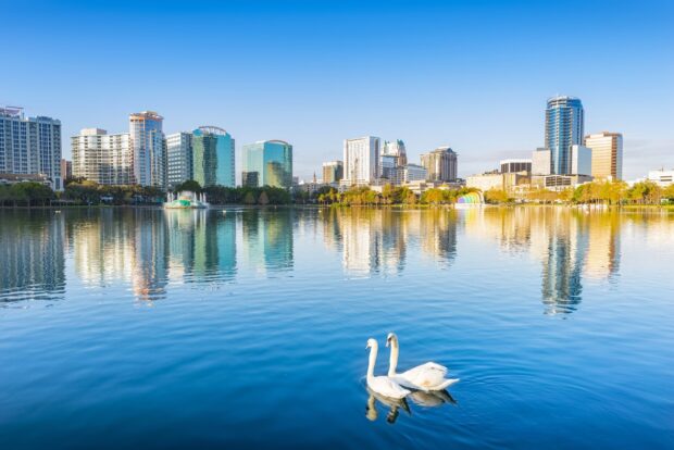 Two swans swimming on the lake in front of Orlando skyline
