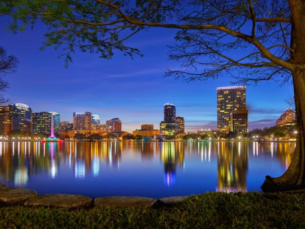 Orlando skyline reflected on the lake during twilight with tree branches framing the scene