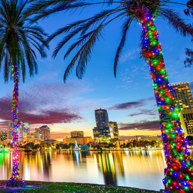 Orlando skyline with colorful holiday lights wrapped around palm trees at dusk