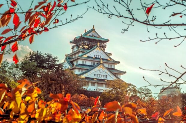 Autumn view of Osaka Castle surrounded by colorful trees in a clear sky