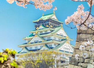 A detailed view of Osaka Castle surrounded by cherry blossoms and greenery under a clear blue sky