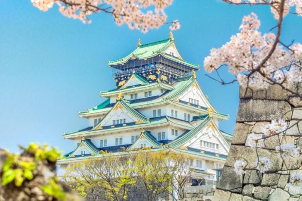 A detailed view of Osaka Castle surrounded by cherry blossoms and greenery under a clear blue sky