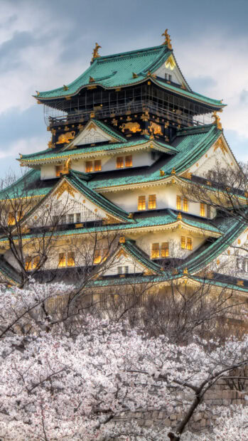 Traditional Osaka Castle with cherry blossoms in full bloom during spring season