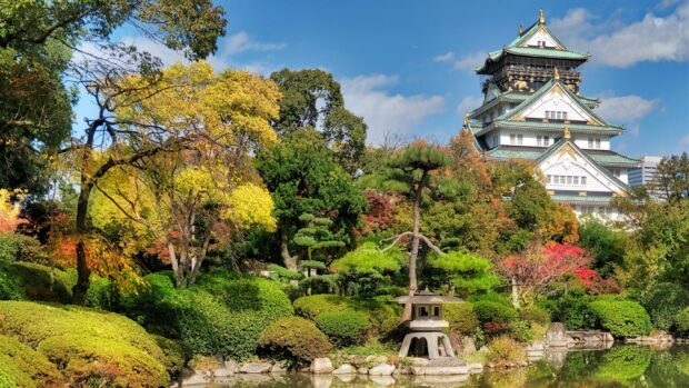 A scenic view of Osaka Castle surrounded by lush green trees and a calm pond in autumn season
