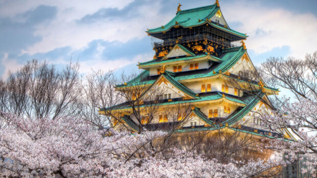 Osaka Castle surrounded by cherry blossoms and bare trees in spring season