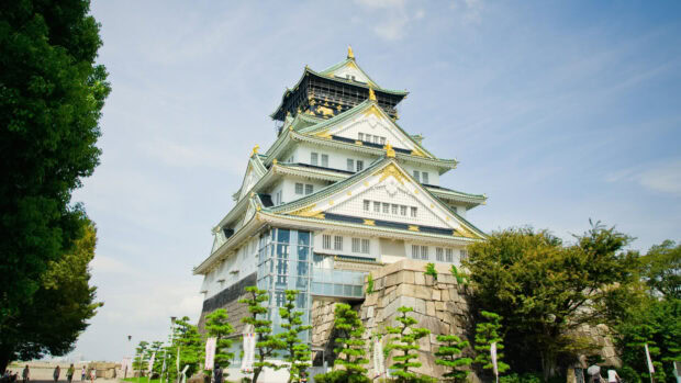 A detailed view of Osaka Castle with traditional architecture surrounded by greenery on a clear day