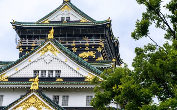 The detailed view of Osaka Castle with golden decorations surrounded by green trees