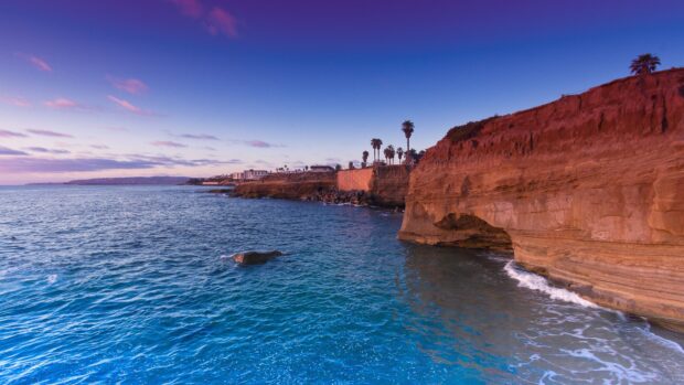 The Pacific Ocean coastline with rocky cliffs and palm trees under a clear blue sky