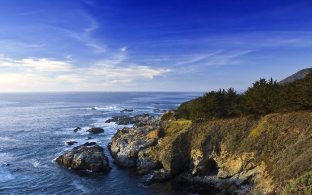 Rocky coastline with Pacific Ocean waves and forested cliffs under blue sky