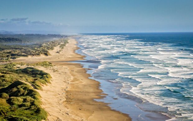 A scenic view of Pacific Ocean coastline with sandy beach and green dunes