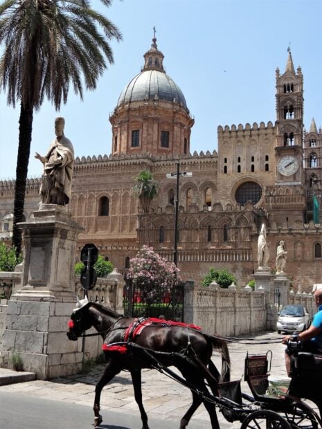 Historic Palermo architecture with horse carriage and palm trees in clear daylight