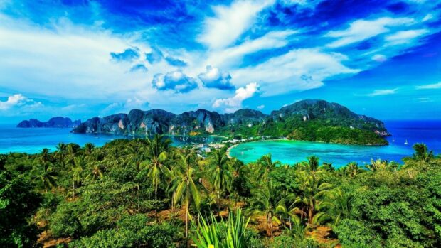 Lush green trees and clear blue sea at Phi Phi island in a tropical landscape