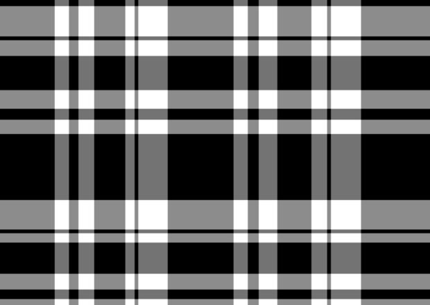 Black and white plaid pattern with gray stripes in a classic design