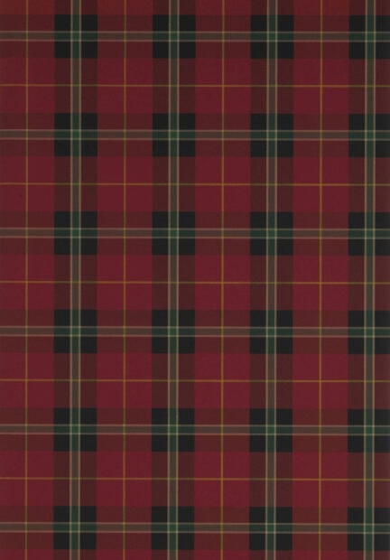 Red plaid pattern with green and black lines forming a classic design