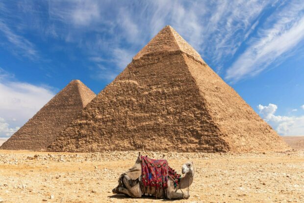 Ancient pyramids of Giza under a blue sky with a camel resting in the desert foreground