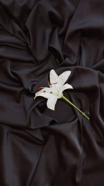 White lily flower on black satin fabric texture in 4k quality