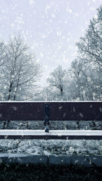 Snowfall covered trees and a wooden fence during winter snowfall