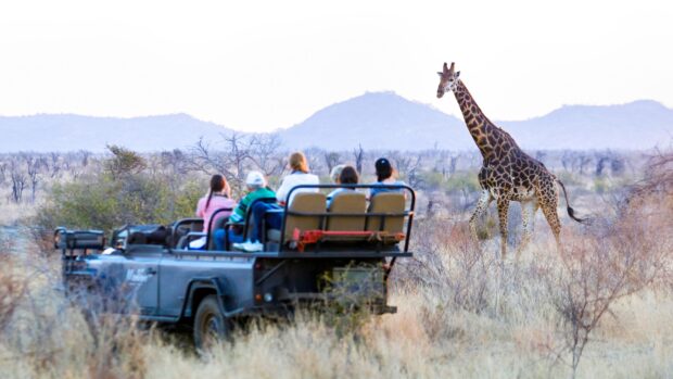 Tourists watching a giraffe during a safari in South Africa wildlife reserve