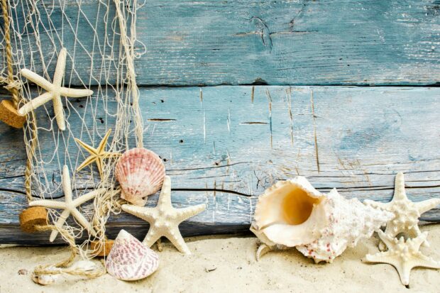 Starfish and seashells arranged on sandy surface with blue wooden background and fishing net