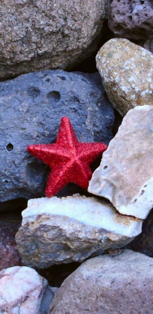 Red starfish resting on natural rocks on the beach