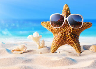 A starfish wearing sunglasses on sandy beach near seashells and coral under blue sky
