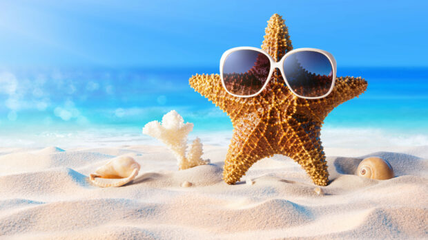 A starfish wearing sunglasses on sandy beach near seashells and coral under blue sky