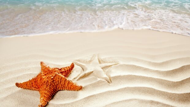Orange starfish lying on sandy beach with a starfish shape in the sand and sea waves in the background