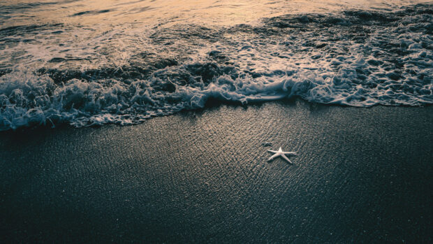 A starfish resting on wet sand near the ocean shore with waves approaching