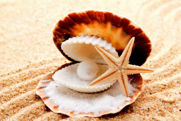 A starfish next to a pearl inside a shell on sandy beach background
