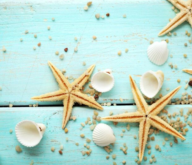 Two starfish and seashells scattered on a blue wooden surface with small pebbles