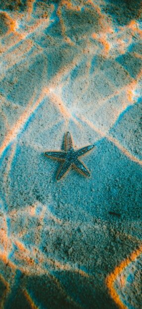 A starfish resting on the sandy ocean floor with light reflections creating colorful patterns