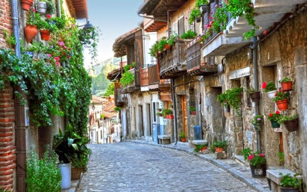Narrow cobblestone town street lined with old stone houses and vibrant plants
