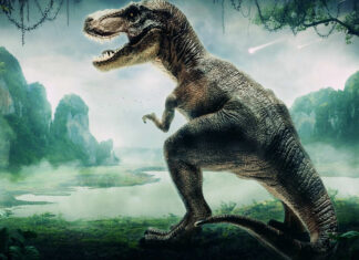 A detailed Tyrannosaurus rex standing in a misty prehistoric jungle landscape