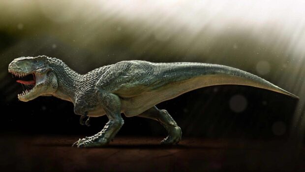A detailed Tyrannosaurus Rex standing with its mouth open in a dark misty environment