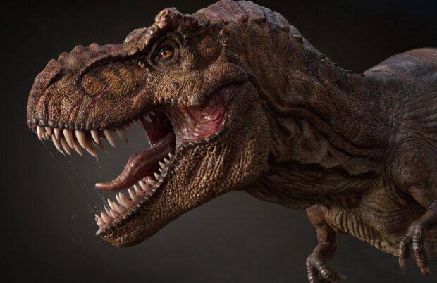 Close up of a Tyrannosaurus Rex with sharp teeth and textured skin roaring