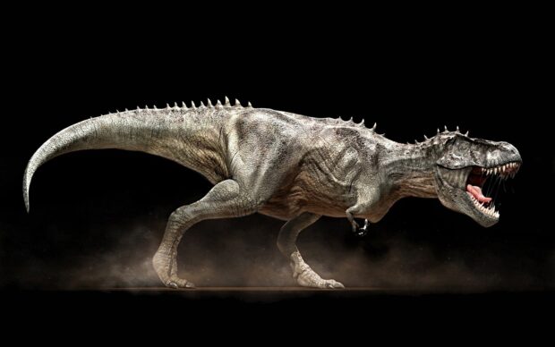 A detailed Tyrannosaurus Rex standing with its mouth open on a dark background